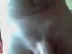allain13