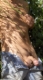 doux_sportif